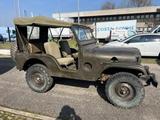 Jeep JEEP Willys Overland MD M38A1 ASI+CRS - Jeep: M38