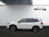 Subaru Forester Platinum - Subaru Forester: Platinum