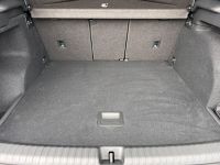 CUPRA Terramar VZ 2.0 TSI DSG 4Drive LEDER AHK 5J GAR bei Autohaus Landmann & Maier OHG