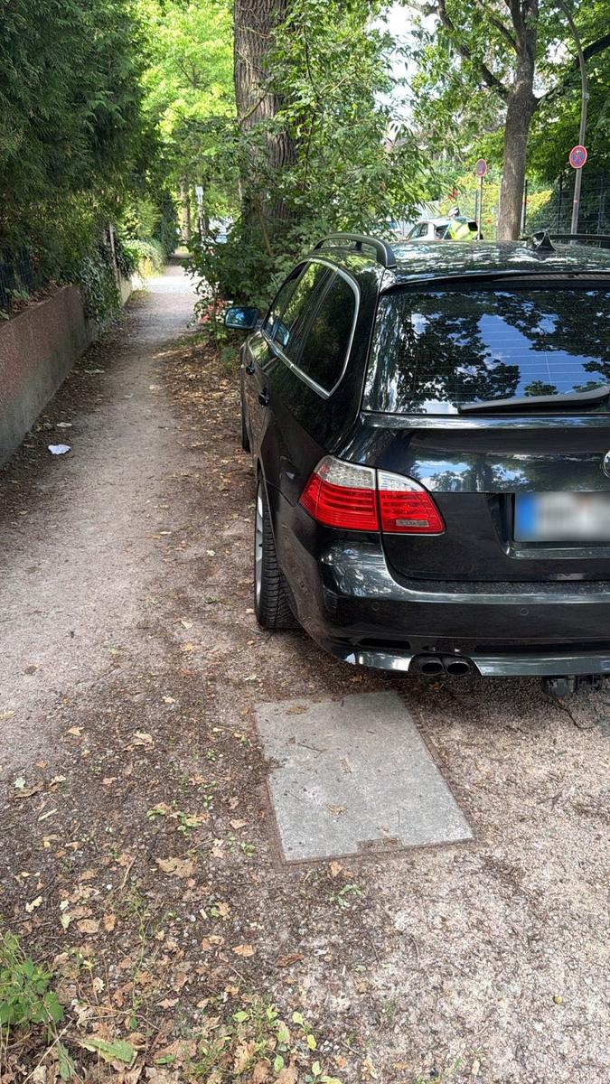 BMW 525 2006 — вигляд ззаду