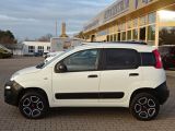 Fiat Panda Van 86PS TwinAir CITY CROSS 4X4 - Offers matching your search criteria