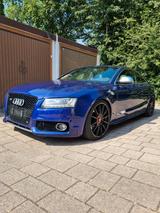 Audi S5 4.2 FSI - Liebhaber * Unikat * B&O - gebrauchte Audi S5 aus dem Jahr 2007