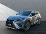 Lexus NX 300 h*F-Sport*PANO*360KAMERA* 15J-GARANTIE - Lexus: Nx