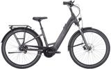 Pegasus Savino EVO 5R Performance M (28 Zoll) - Pegasus E-Bikes