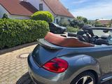 Volkswagen New Beetle Cabrio - Volkswagen New Beetle: Cabrio