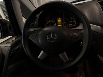 Mercedes Viano - 5