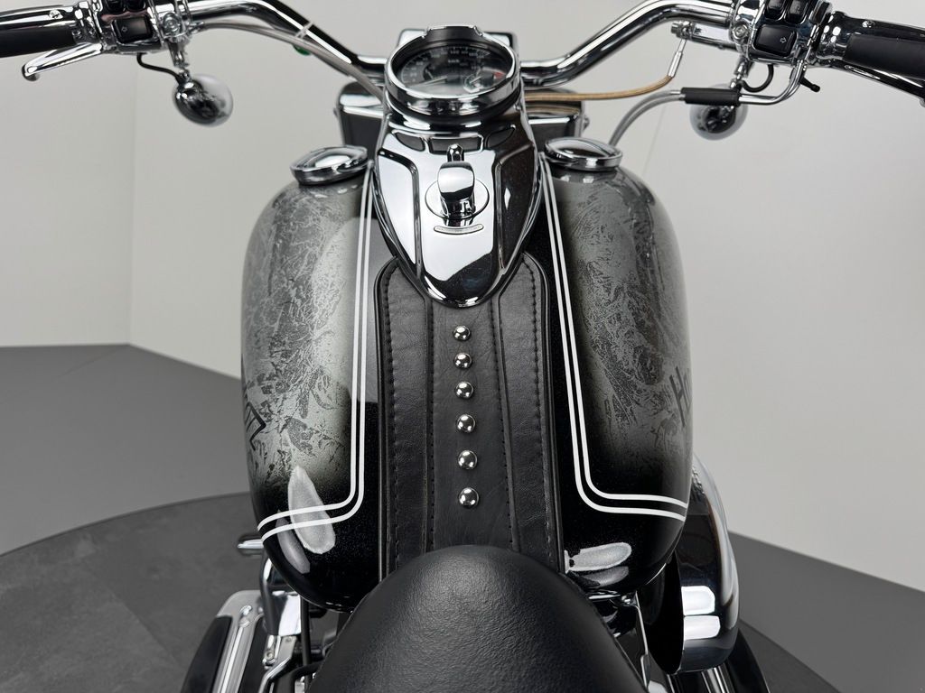 Fahrzeugabbildung Harley-Davidson SOFTAIL HERITAGE *ShinyGreyStar *Costum
