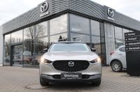 Mazda CX-30 - Vorschau Bild 3