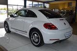 Volkswagen Beetle Lim. Cup KLIMAAUTO./ TEMPOMAT / PDC - Volkswagen Beetle CUP mit Benzin-Antrieb