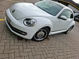 Volkswagen VW Beetle Cup 1.2  TSI - Volkswagen Beetle CUP mit Benzin-Antrieb