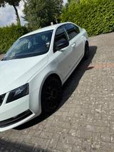 Skoda Octavia 1.6 TDI DSG Drive *viele Extras* - Skoda Octavia mit Diesel-Antrieb: Limousine, 1.6