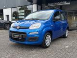 Fiat Panda 1.0 Hybrid MY'25 + City Paket *PDC hi*ZV*B - Fiat Panda in Hagen