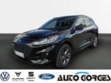 Ford Kuga 2.5 PHEV ST-Line +AHK+ELEKTR.HECKKLAPPE+ - mit Hybrid-Antrieb: Elektr Heckklappe