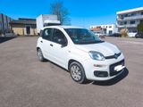 Fiat Panda Easy - Fiat Panda in Stuttgart
