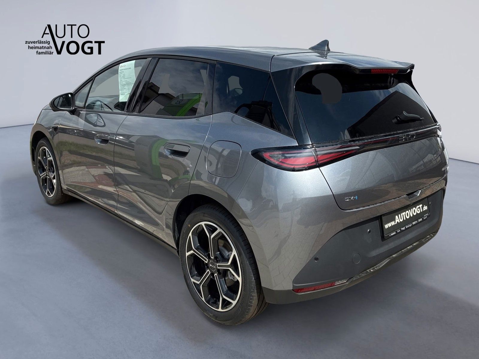 BYD DOLPHIN