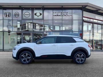 Citroën C4 Cactus C-Series 1.2 PT110 °Nur an Händler!°