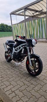 Suzuki SV AV 650 N Knubbel - 2001 SV650S