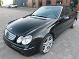 Mercedes-Benz MERCEDES-BENZ  CLK 500 CABRIO  MIT LPG - gebrauchte Mercedes-Benz CLK 500 aus dem Jahr 2003