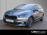 Skoda Fabia Tour 1.0 TSI 7-Gang-DSG Infot. Assist UPE 