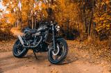 Honda CX500 Cafe Racer - HONDA CAFE RACER