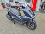 Honda PCX 125 DX + 6 Jahre Garantie - TZ - 0KM - HONDA PCX125 DX