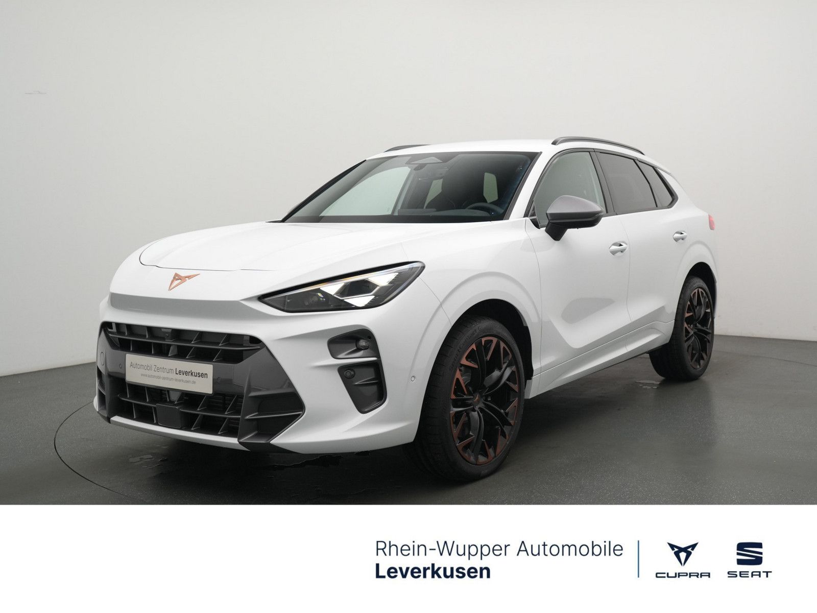 Cupra Terramar - Bild 1