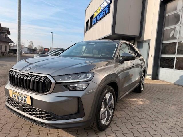 Skoda Kodiaq 2.0 TDI 7 S ACC LED Kamera DAB