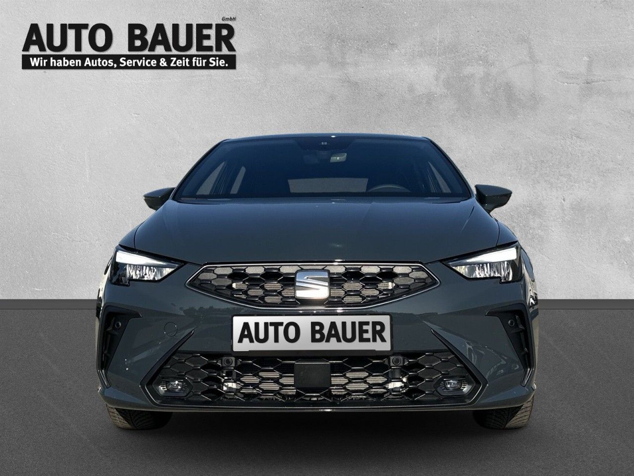 Fahrzeugabbildung SEAT Ibiza Style 1.0 Tsi 116 PS 6-Gang