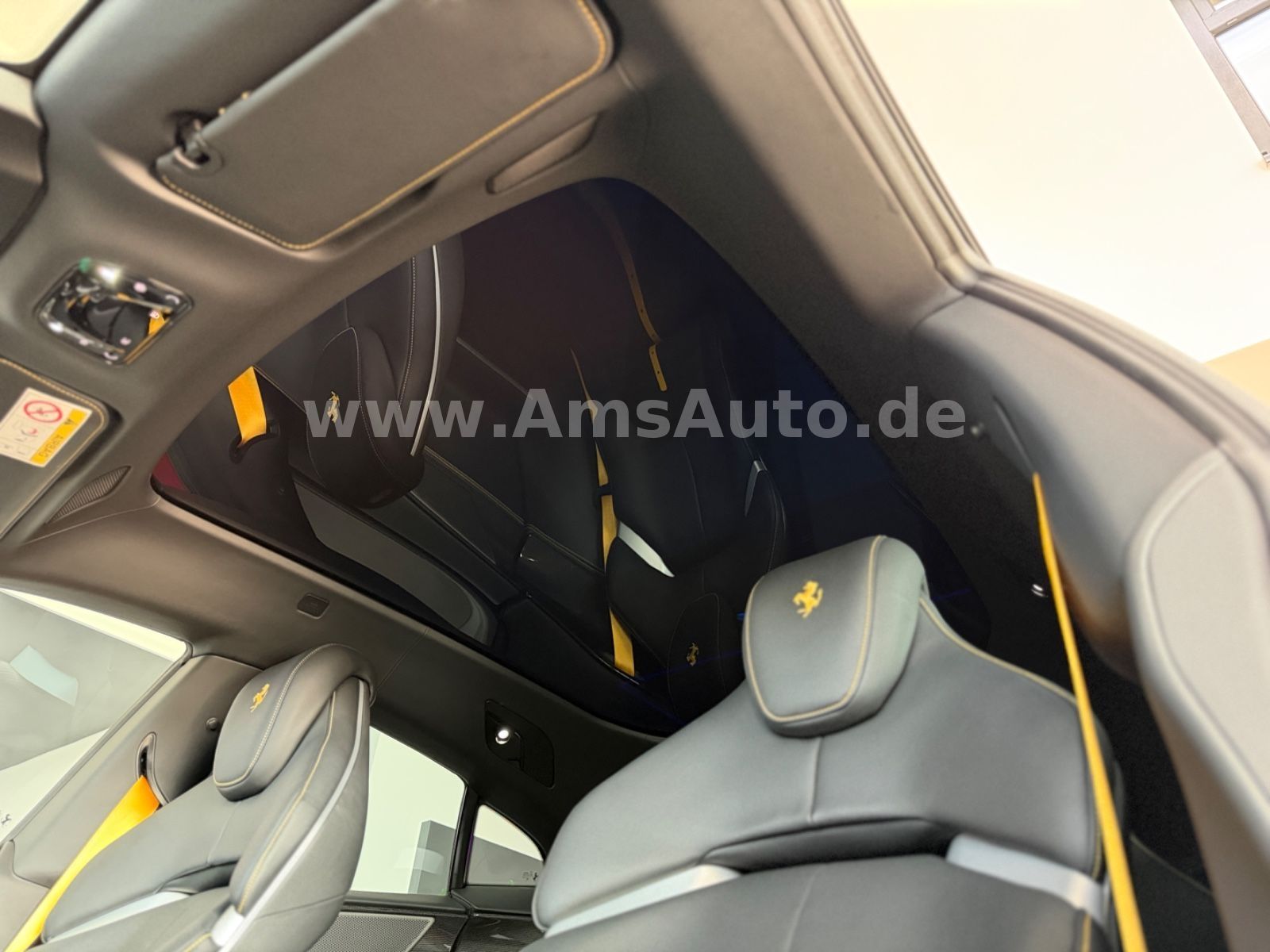 Purosangue Full Carbon Pano Massage