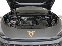 Cupra Terramar - Vorschau Bild 28