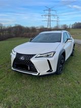 Lexus UX 250h Amazing Edition Amazing Edition - gebrauchte Lexus Pickups