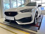 Cupra Leon SP 2.0 TDI DSG Navi LED Rückfahrkamera - gebrauchte Cupra Leon aus dem Jahr 2024