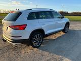 Skoda Kodiaq 2.0 TDI 4x4 DSG Scout StHZ, Pano, AHK - Skoda Kodiaq in Braunschweig
