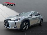 Lexus UX 250h*STYLE*FACELIFT* ALLW.*CARPLAY*GARANTIE - silberne Lexus UX