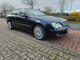 Mercedes-Benz CLK 500 ELEGANCE Elegance - gebrauchte Mercedes-Benz CLK 500 aus dem Jahr 2008