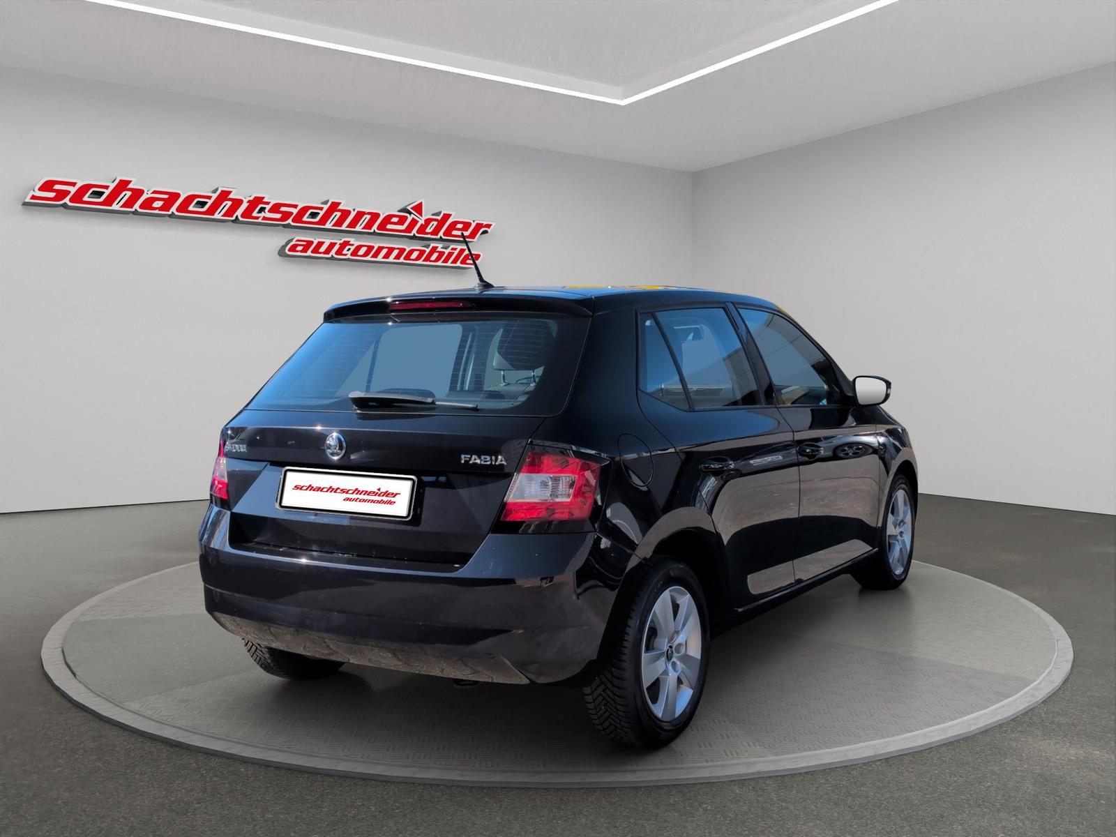 Skoda Fabia Active 1.0 TSI+DAB+Allwetter+