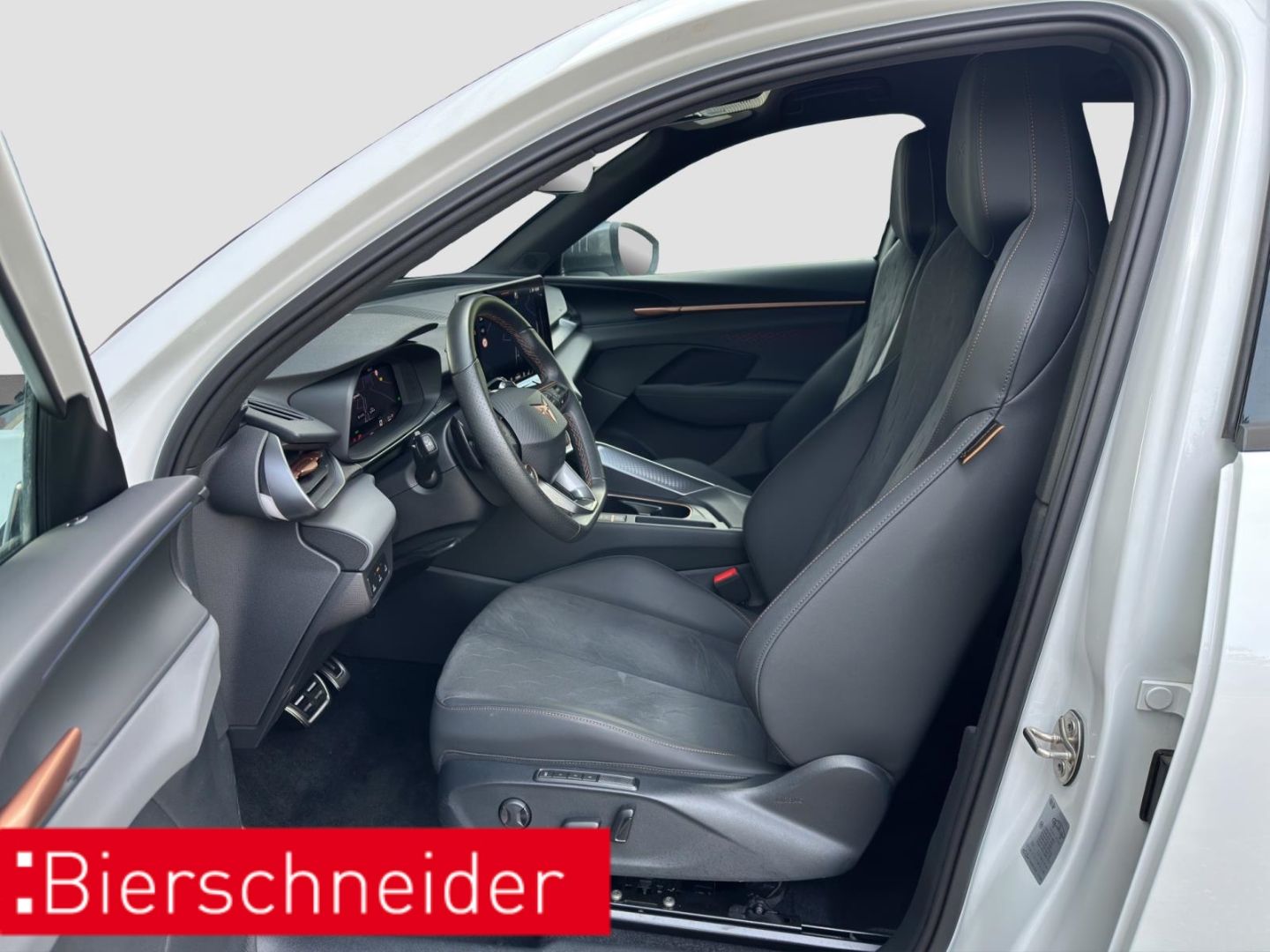 Cupra Terramar - Bild 13