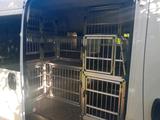 Fiat Ducato mit Hundeboxensystem maßgefertig! - gebrauchte Fiat Ducato aus dem Jahr 2013