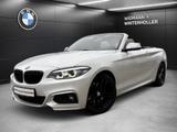 BMW 230i Cabrio M Sport Leder Navi Prof. H/K RFK - scheckheftgepflegte BMW 230