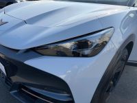 Cupra Tavascan - Vorschau Bild 20