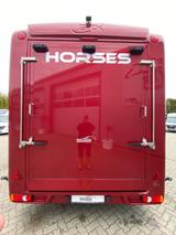 Andere STX Trailer  3,5t Pferdeanh.mit  Wohn. Dusche - Tier-/Pferdetransport 3 pferde