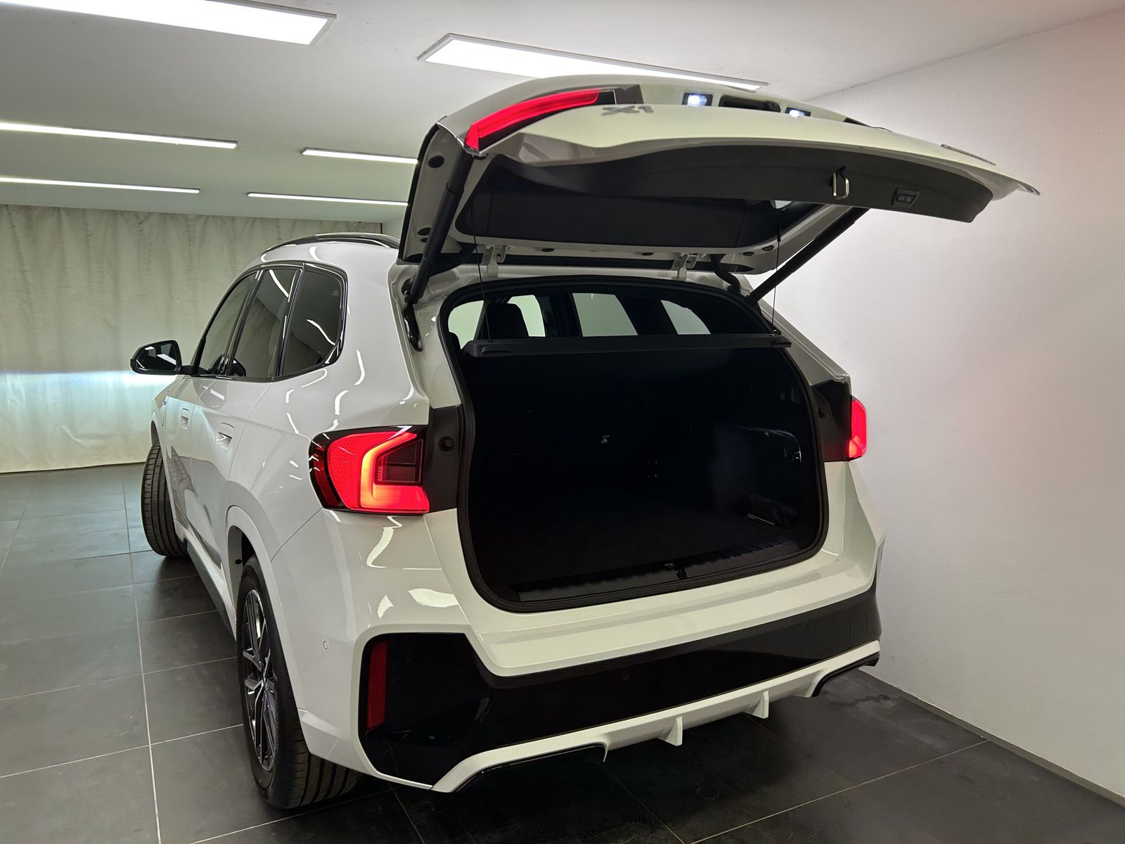 BMW X1 xDrive30e M Sportpaket Harman/Kardon Head-Up  foto 11