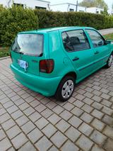 Volkswagen 1,6/75 PS, orig. 89000, unfallfrei, rostfrei - Volkswagen Polo aus 1997