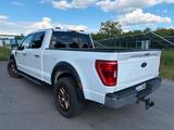Ford F 150 - Ford F 150 mit Panoramadach