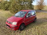 Fiat Panda 1.2 MyLife - Fiat Panda: Mylife