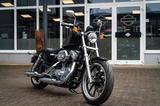 Harley-Davidson XL883L SUPERLOW SPORTSTER - VIVID BLACK - Angebote entsprechen deinen Suchkriterien
