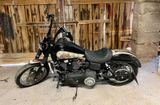 Harley-Davidson Street Bob - Angebote entsprechen deinen Suchkriterien