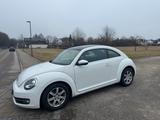 Volkswagen VW Beetle Käfer 1.2TSI,1.Hand,Scheckheft g... - Volkswagen: Kaefer