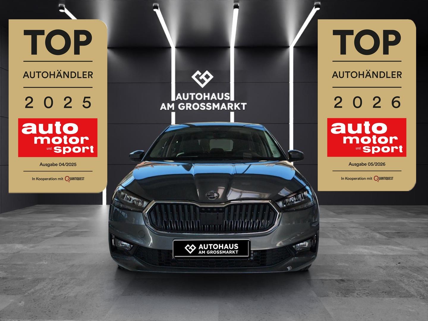 Skoda Fabia Selection Klima SHZ Temp. Apple CarPlay An