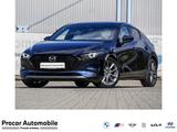 Mazda 3 HUD CARPLAY LED LENKRADHEIZUNG - gebrauchte Mazda 3 aus dem Jahr 2019